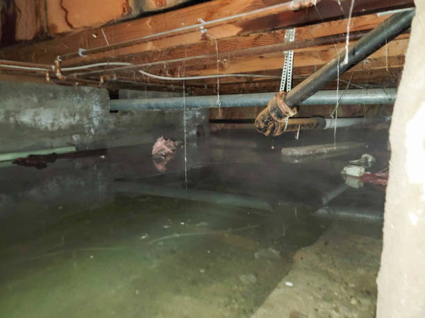 Best Water damage restoration insurance claims  in Galena, KS
