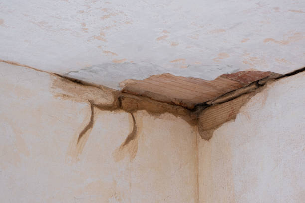 Best 24-hour water damage restoration  in Galena, KS