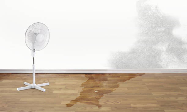 Best 24-hour water damage restoration  in Galena, KS