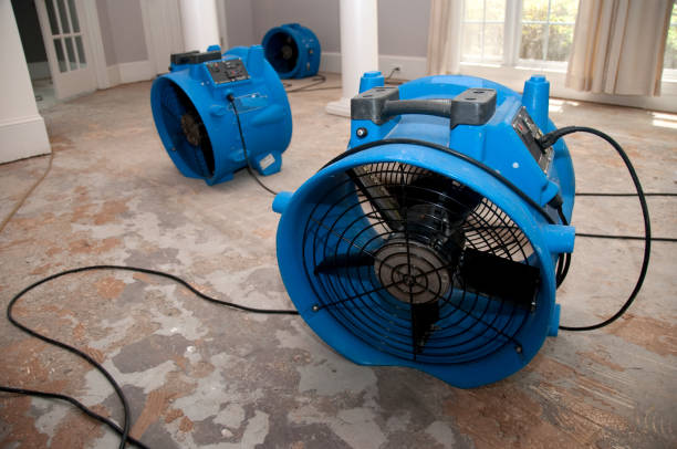 Best Carpet water damage restoration  in Galena, KS