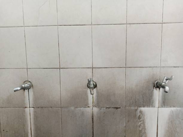 Best Carpet water damage restoration  in Galena, KS