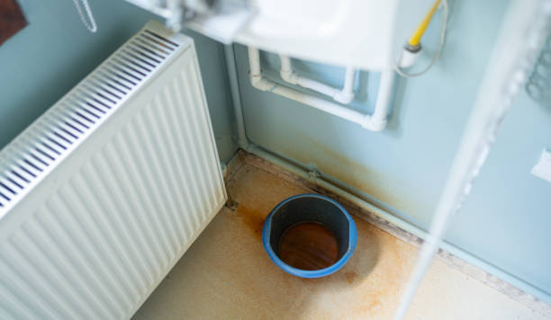 Best Water damage restoration experts  in Galena, KS