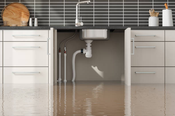 Carpet water damage restoration in Galena, KS