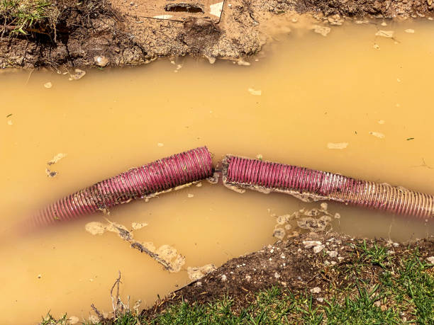 Best Flood restoration services  in Galena, KS
