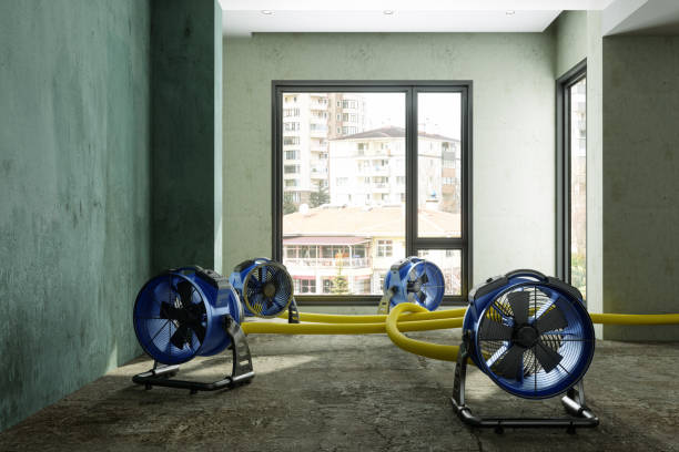 Best Local water damage restoration  in Galena, KS
