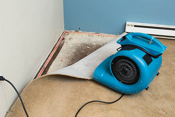 Reliable Galena, KS Water damage restoration Solutions